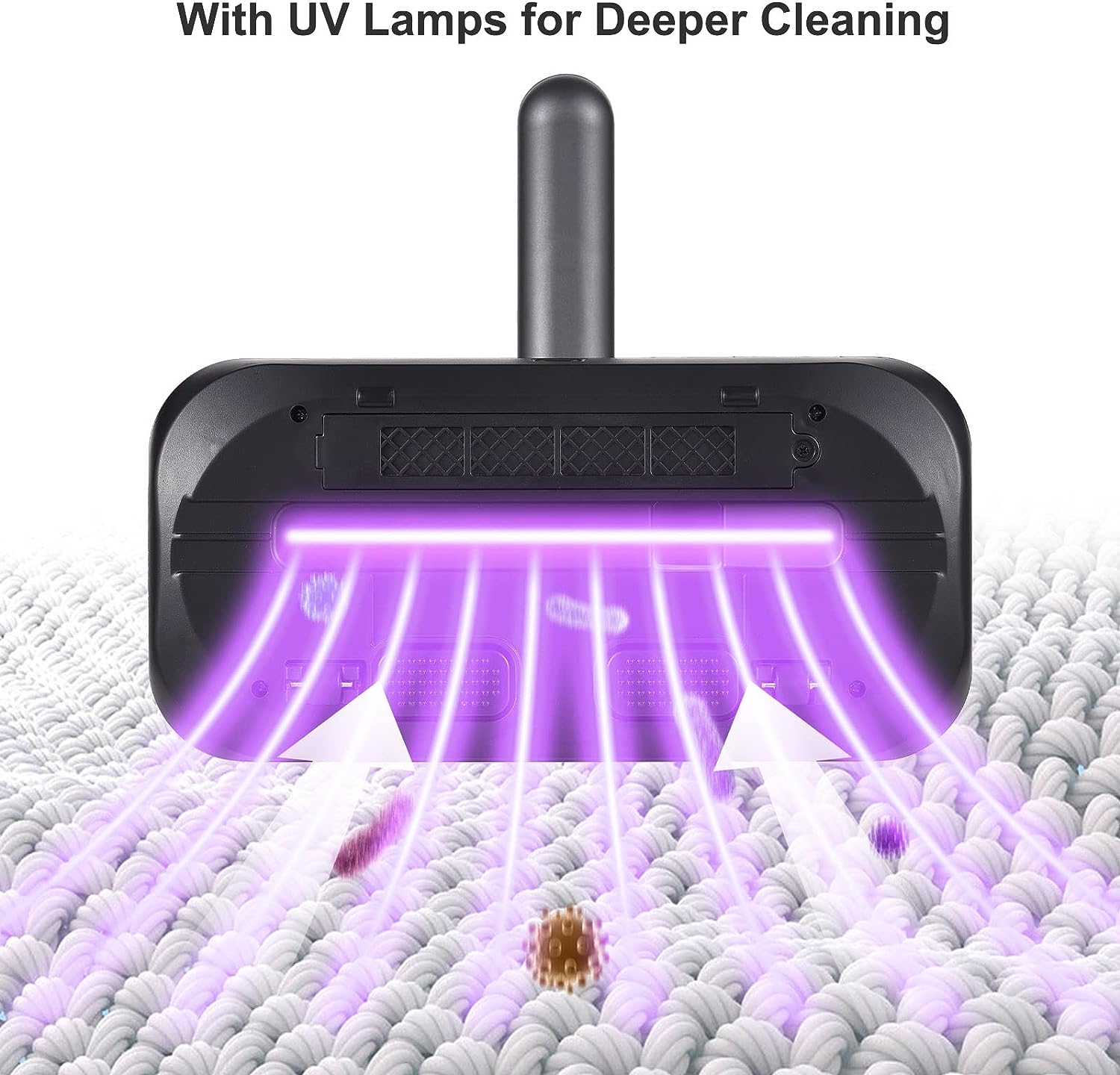 CleanSweep Pro™ - Leichter atmen, niesfreies Zuhause