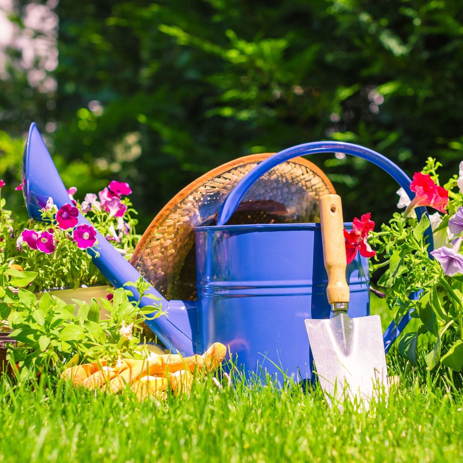 GARTEN