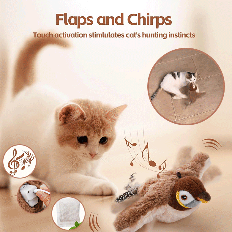 Chirp™ - Interaktives Vogelzwitscherndes Katzenspielzeug