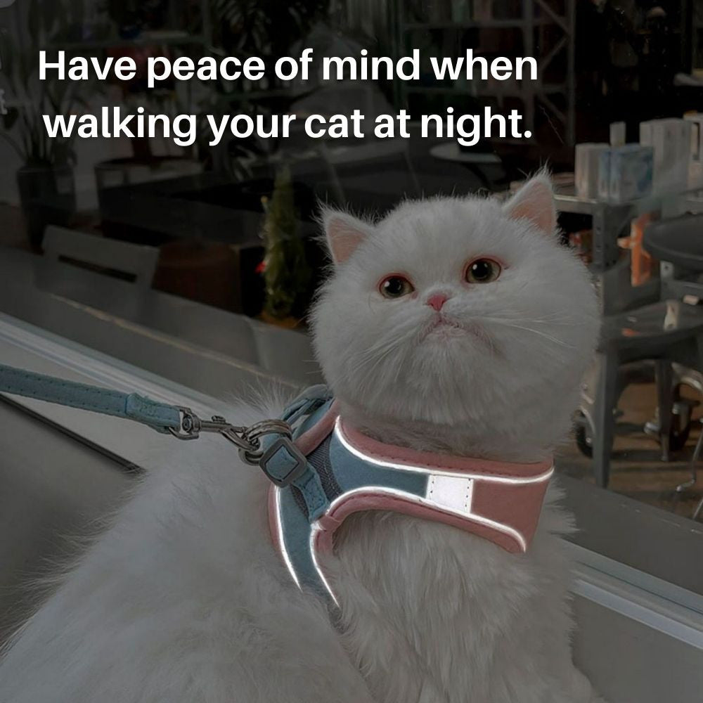 CatHarness™ - Abenteuerbegleiter für Sie und Ihre Katze!