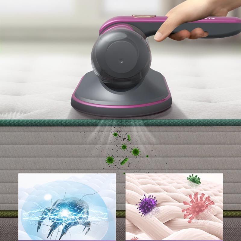 CleanSweep Pro™ - Leichter atmen, niesfreies Zuhause