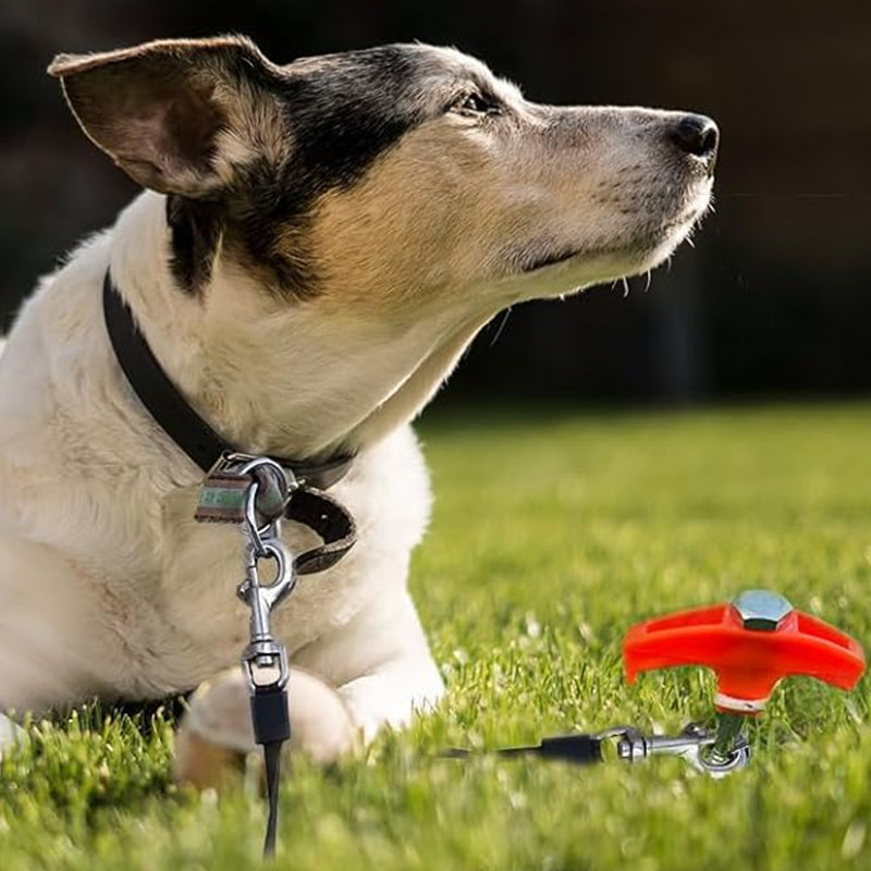 4+4 GRATIS | TwistPegs™ - Sichern Sie Ihr Zelt schnell
