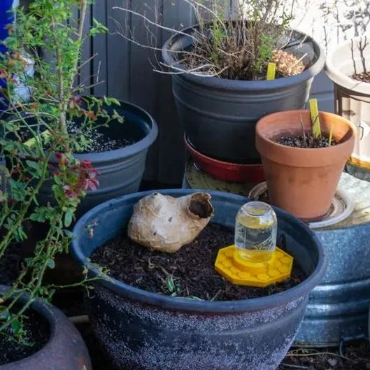 NectarNest™ — Locke Bienen an, entfache das Leben und die Farben in deinem Garten