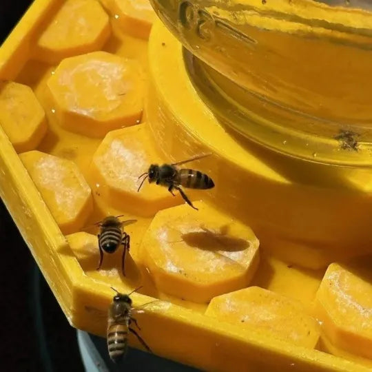NectarNest™ — Locke Bienen an, entfache das Leben und die Farben in deinem Garten