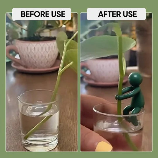GrowMate™ Pflanzenvermehrungshelfer — Unterstützen Sie Ihre Pflanzen dabei, jeden Tag größer, kräftiger und schöner zu wachsen (3 Stck.)