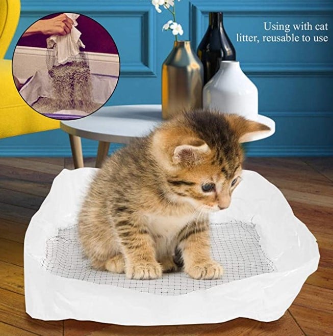 PurrEase™ – Müheloses Reinigen der Katzenstreu für ein glücklicheres, saubereres Zuhause