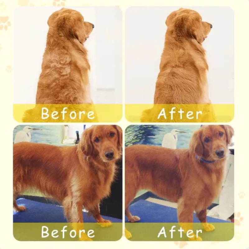 1+1 GRATIS | PurrfectGroom™ Mehrzweck-Tierdampfbürste