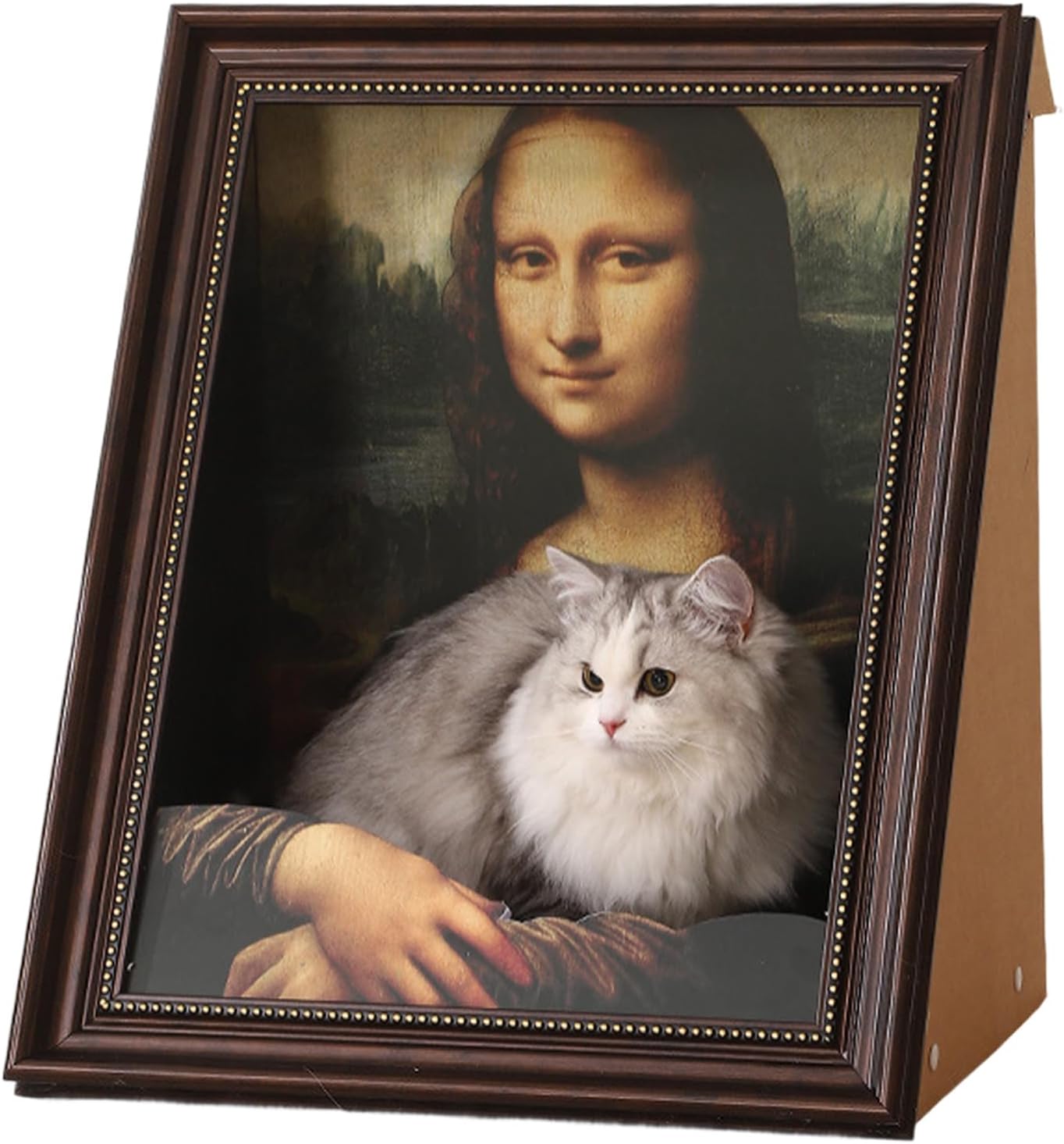 VelvePaw™ — Gönnen Sie Ihrer Katze einen gemütlichen Ort zum Kratzen und Entspannen – ohne Unordnung