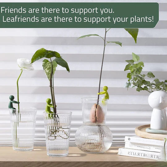 GrowMate™ Pflanzenvermehrungshelfer — Unterstützen Sie Ihre Pflanzen dabei, jeden Tag größer, kräftiger und schöner zu wachsen (3 Stck.)