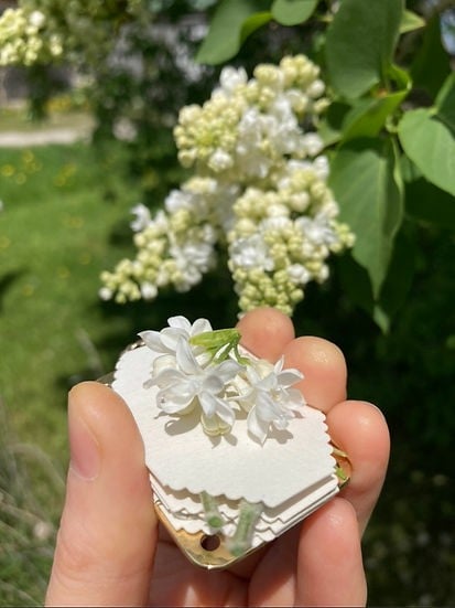FloraLock™ Micro Press — Verwandle Vergängliche Blüten in Zeitlose Schätze