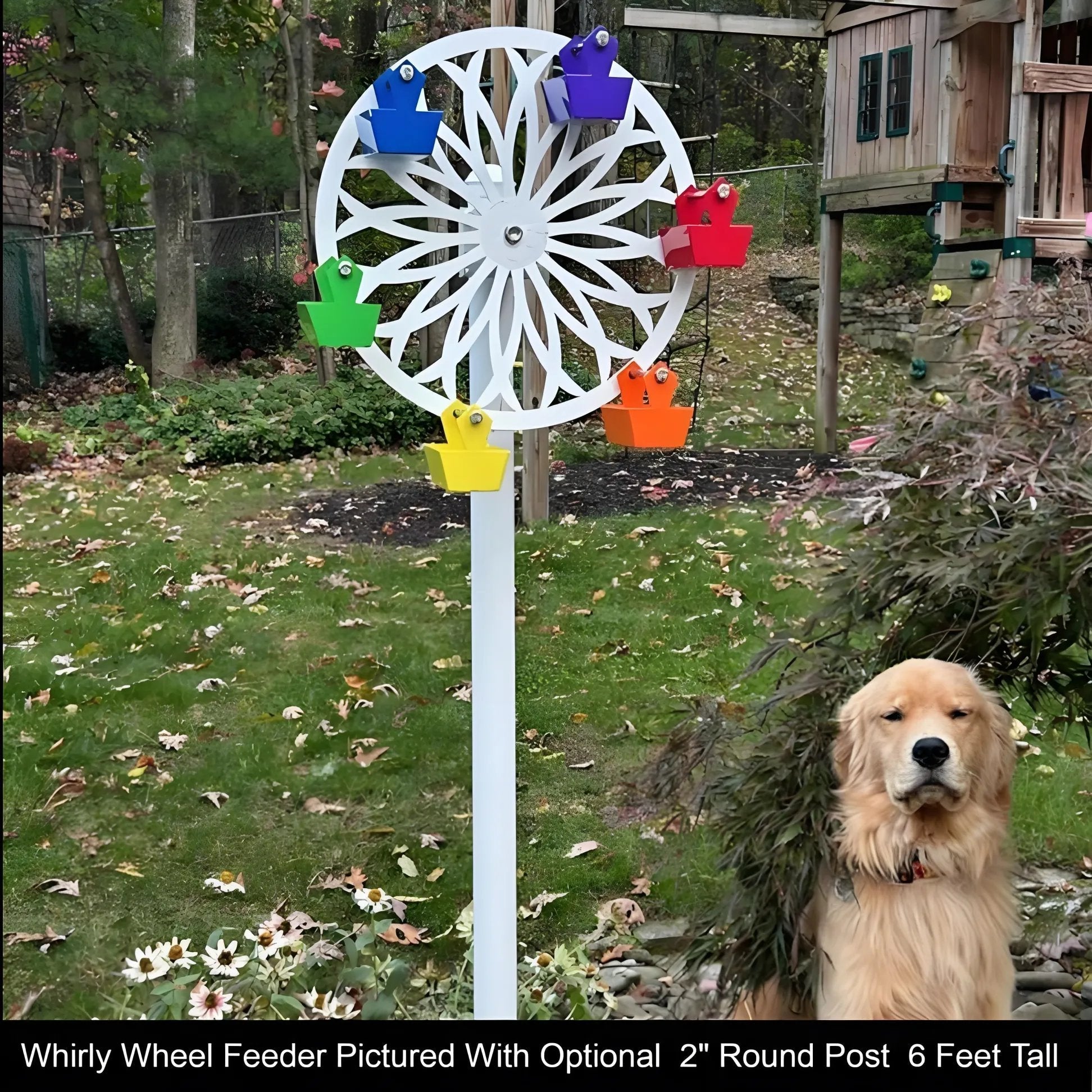 BirdWheel™ - Riesenrad des Vergnügens