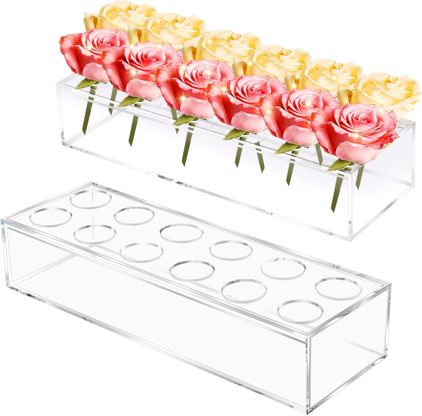 AcriVase™ - Die perfekte Vase für kreative Blumenarrangements!