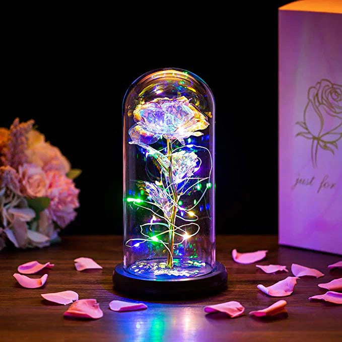 EterniRose™ - Die unvergängliche Rose für besondere Momente!